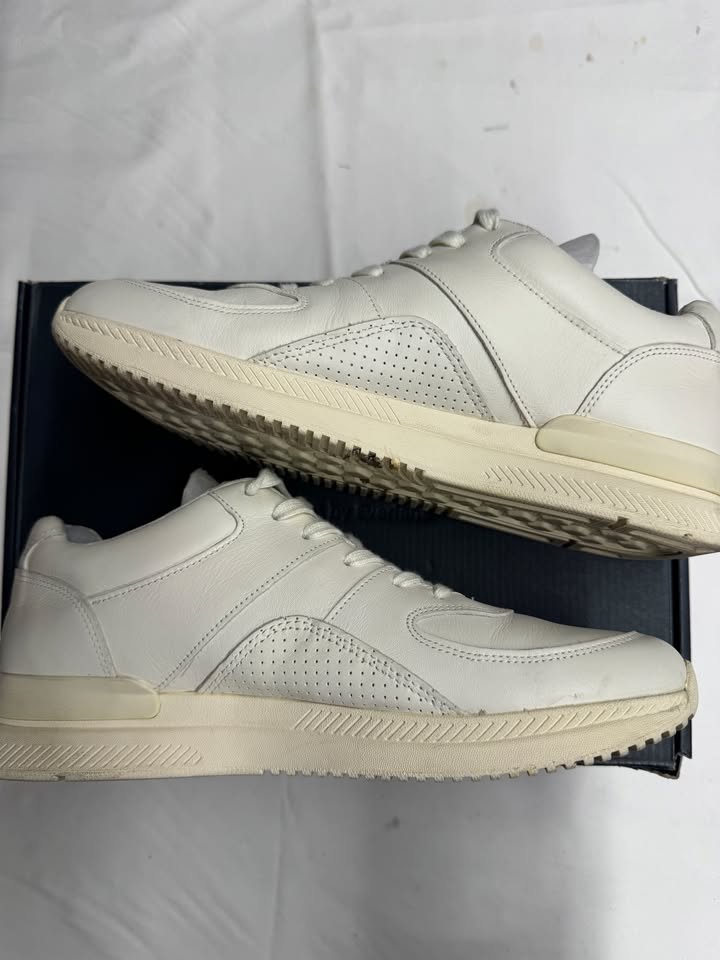 EVERLANE mens leather sneaker white cream US 12/ AU & UK 10